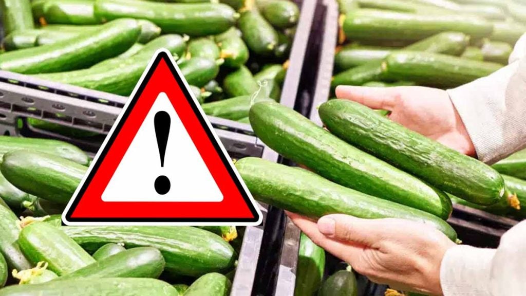 Rappel produit : des concombres vendus dans tout le pays empoisonnés par un taux trop élevé de pesticides