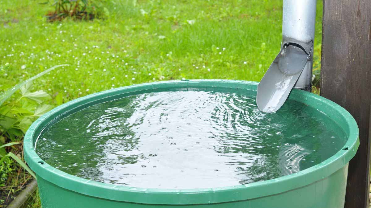 Récupérateur d’eau : alerte, les mairies ont tout prévu pour sanctionner les Français qui ne respectent pas cette obligation