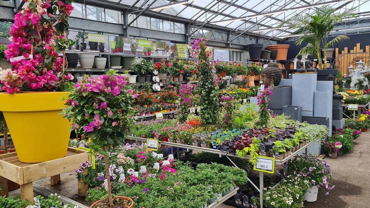 C’est fini pour cette iconique enseigne de jardinage : 9 magasins ferment en France, voici la liste des villes concernées
